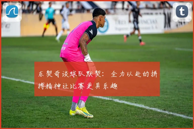 东契奇谈球队默契：全力以赴的拼搏精神让比赛更具乐趣