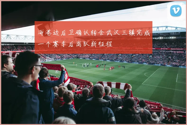 海港边后卫确认转会武汉三镇完成一个赛季后离队新征程